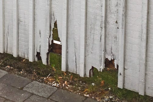 Hegn: Red hegnstræet med tværbræt Hegn: Red hegnstræet med tværbræt